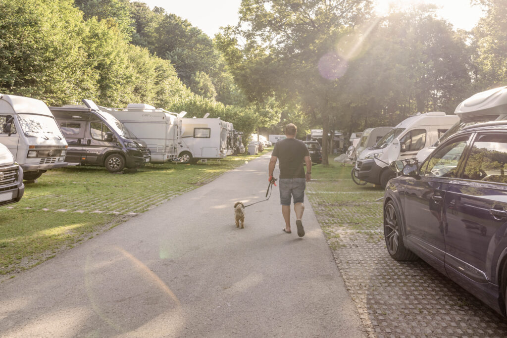 Stellplätze auf dem Camping Eichholz