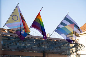 Fahnen zum IDAHOBIT 2025