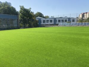 Kunstrasenfeld Holenacker