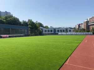 Kunstrasenfeld Holenacker